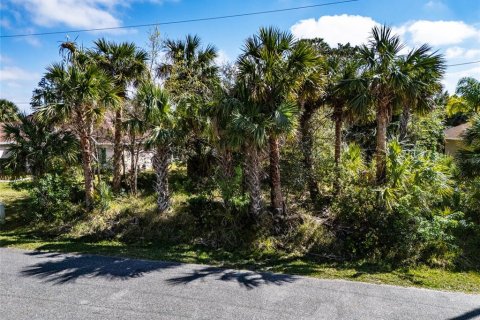 Terreno en venta en Palm Coast, Florida № 1721679 - foto 11