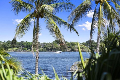 Villa ou maison à vendre à Stuart, Floride: 5 chambres, 802.03 m2 № 2406139 - photo 17