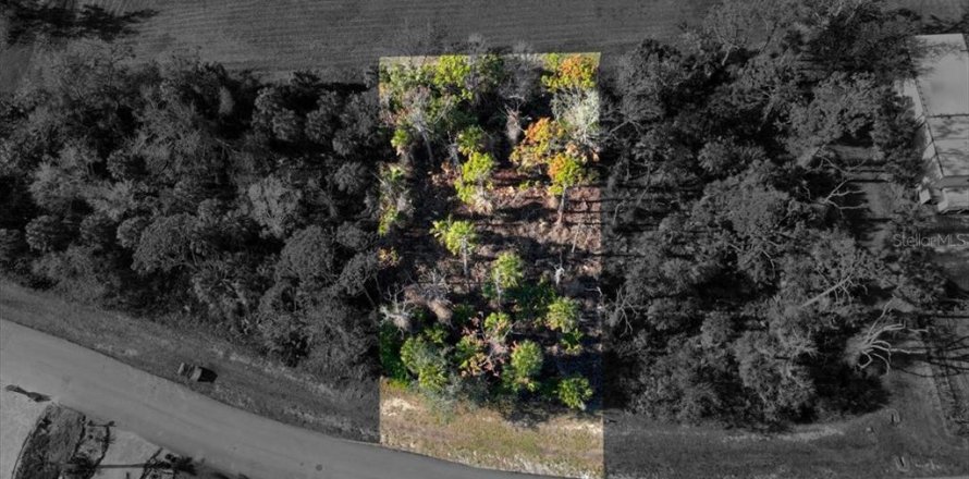 Land in Placida, Florida № 1519689