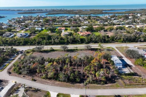 Land in Placida, Florida № 1519689 - photo 5