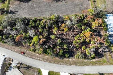 Land in Placida, Florida № 1519689 - photo 6