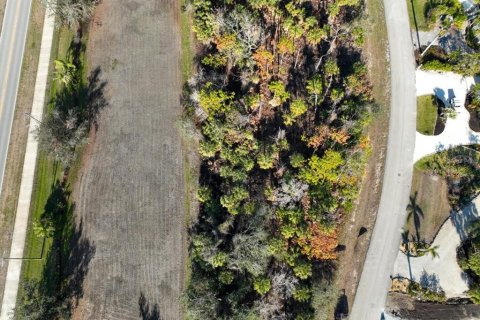 Land in Placida, Florida № 1519689 - photo 8