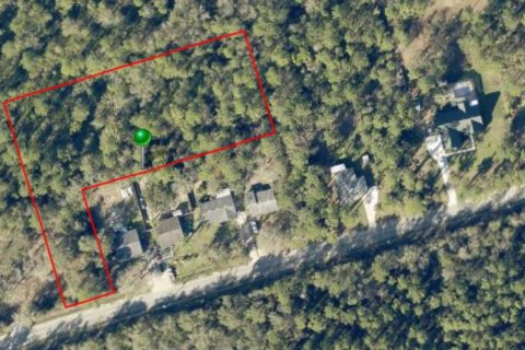 Land in DeLand, Florida № 1689653 - photo 1