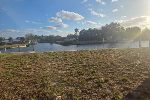 Land in Fort Myers, Florida № 2116783 - photo 3