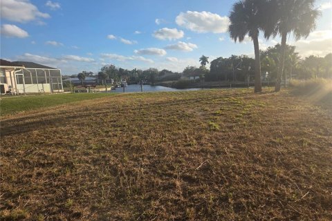 Land in Fort Myers, Florida № 2116783 - photo 4