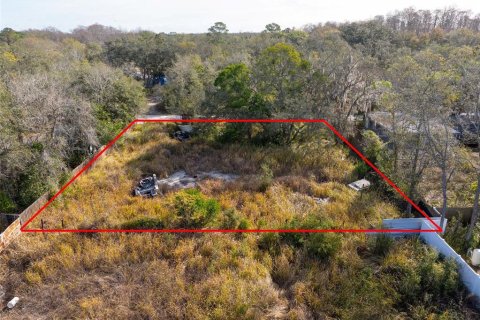 Terrain à vendre à New Port Richey, Floride № 2217914 - photo 6
