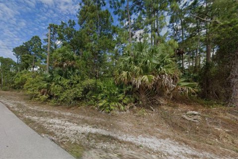 Land in Naples, Florida № 2203299 - photo 2