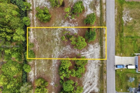 Купить земельный участок в Кейп-Корал, Флорида № 2060922 - фото 4