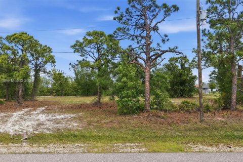 Купить земельный участок в Кейп-Корал, Флорида № 2060922 - фото 9