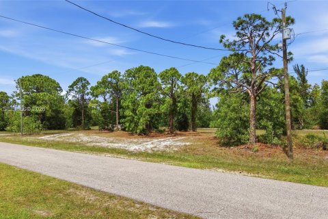 Купить земельный участок в Кейп-Корал, Флорида № 2060922 - фото 10