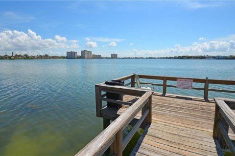 Condominio en alquiler en Saint Petersburg, Florida, 2 dormitorios, 97.55 m2 № 2196731 - foto 29