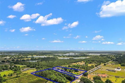 Land in Clermont, Florida № 1165426 - photo 4
