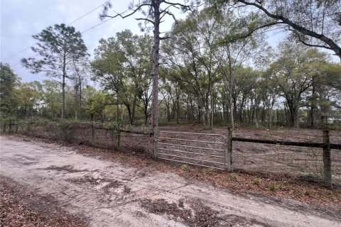 Terreno en venta en Spring Hill, Florida № 2098823 - foto 2