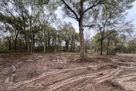 Terreno en venta en Spring Hill, Florida № 2098823 - foto 6