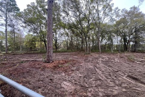 Terreno en venta en Spring Hill, Florida № 2098823 - foto 4