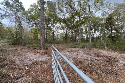 Terreno en venta en Spring Hill, Florida № 2098823 - foto 3