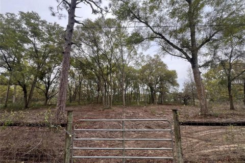 Terreno en Spring Hill, Florida № 2098823