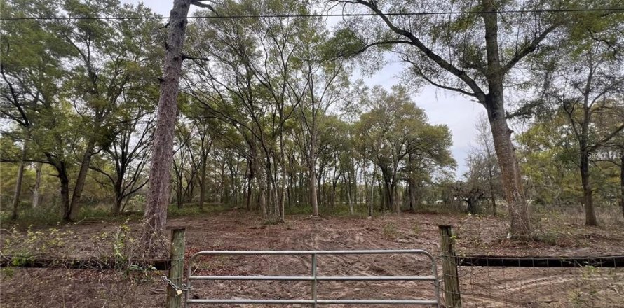 Terreno en Spring Hill, Florida № 2098823