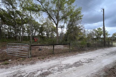 Terreno en venta en Spring Hill, Florida № 2098823 - foto 7