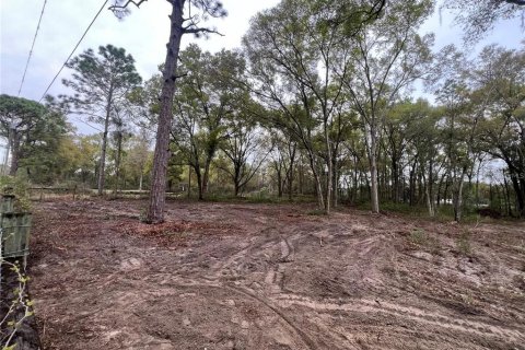 Terreno en venta en Spring Hill, Florida № 2098823 - foto 5