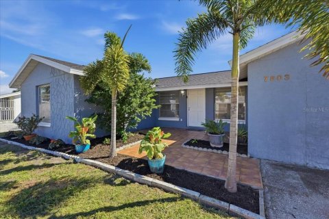 House in Tampa, Florida 3 bedrooms, 123.75 sq.m. № 2419233 - photo 2
