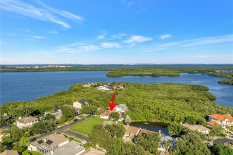 Villa ou maison à vendre à Saint Petersburg, Floride: 3 chambres, 230.49 m2 № 2430623 - photo 12