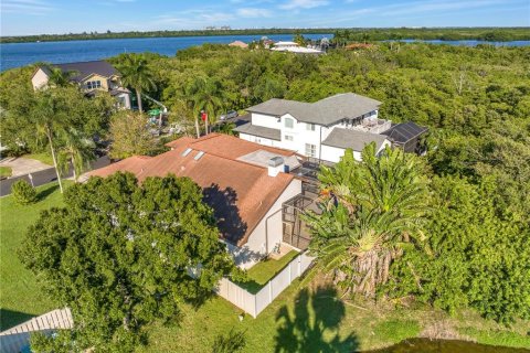 Villa ou maison à vendre à Saint Petersburg, Floride: 3 chambres, 230.49 m2 № 2430623 - photo 8
