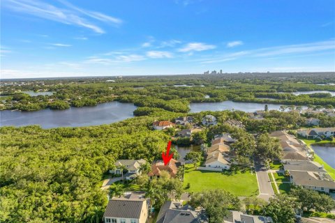 Villa ou maison à vendre à Saint Petersburg, Floride: 3 chambres, 230.49 m2 № 2430623 - photo 11