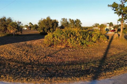 Land in Placida, Florida № 2163060 - photo 5