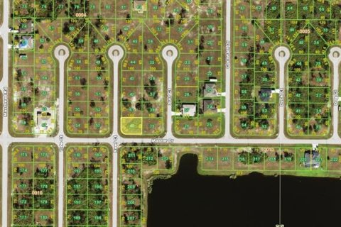 Land in Placida, Florida № 2163060 - photo 3