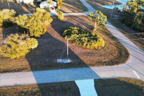 Land in Placida, Florida № 2163060 - photo 4