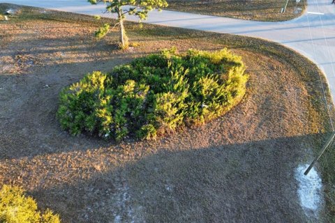 Land in Placida, Florida № 2163060 - photo 6