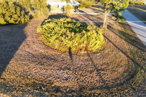 Land in Placida, Florida № 2163060 - photo 7