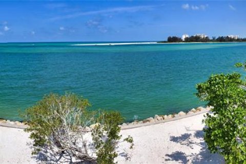 Land in Sarasota, Florida № 1334289 - photo 15