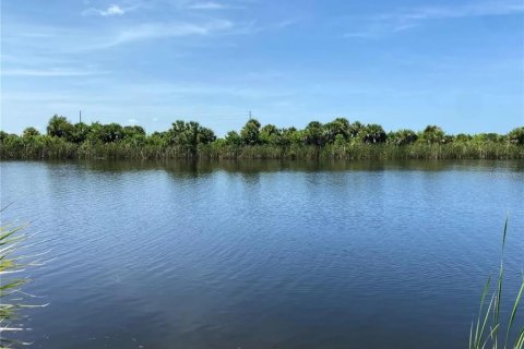 Land in Port Charlotte, Florida № 1909151 - photo 3