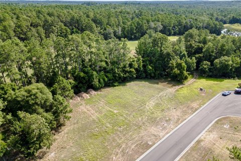 Terreno en venta en Brooksville, Florida № 1799805 - foto 1