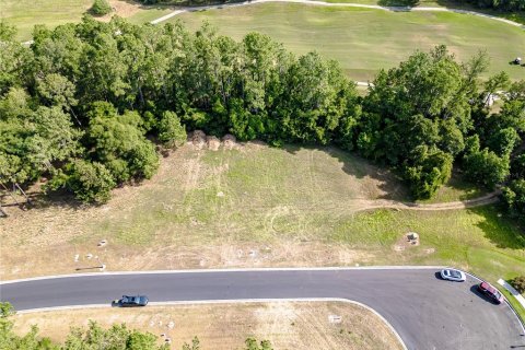 Terreno en venta en Brooksville, Florida № 1799805 - foto 4