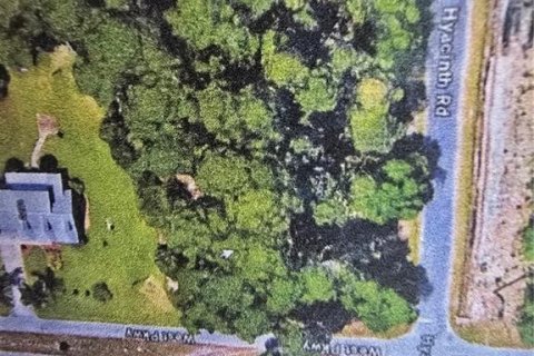 Land in DeLand, Florida № 2160759