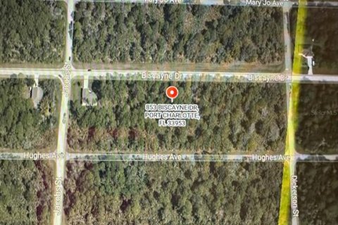 Land in Port Charlotte, Florida № 2235125