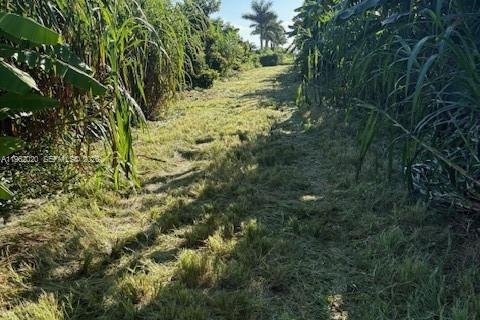 Commercial property in Homestead, Florida № 2024801 - photo 3