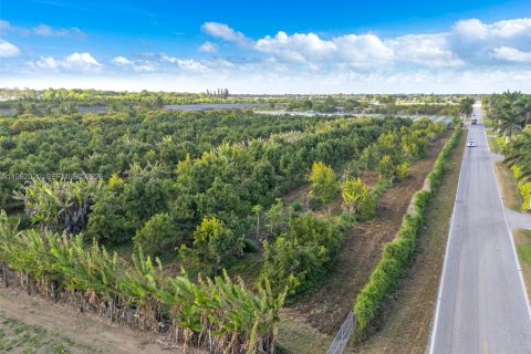 Купить коммерческую недвижимость в Хомстед, Флорида № 2024801 - фото 10