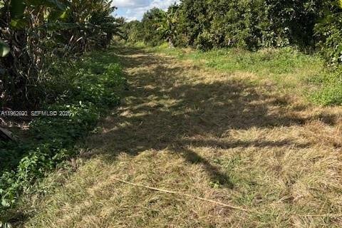 Commercial property in Homestead, Florida № 2024801 - photo 7