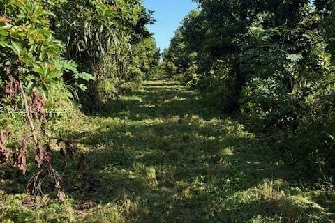 Commercial property in Homestead, Florida № 2024801 - photo 6