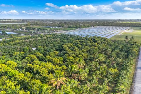 Купить коммерческую недвижимость в Хомстед, Флорида № 2024801 - фото 9