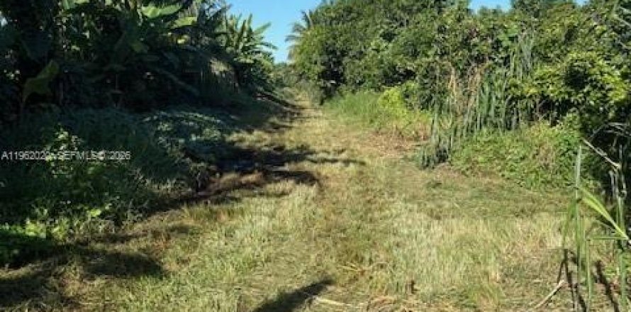 Commercial property in Homestead, Florida № 2024801