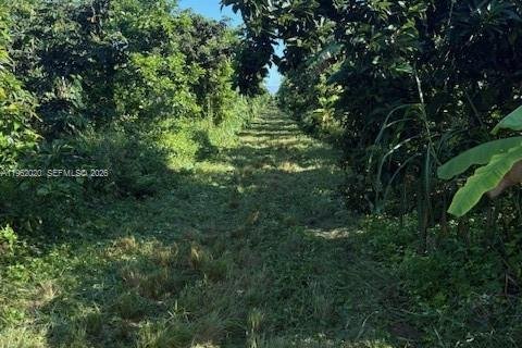 Commercial property in Homestead, Florida № 2024801 - photo 4