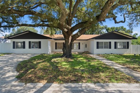 House in Brandon, Florida 5 bedrooms, 254.18 sq.m. № 2221182