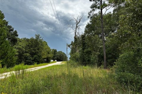 Land in Williston, Florida № 2355764