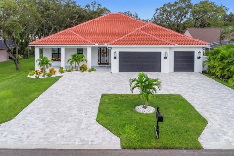House in Tarpon Springs, Florida 4 bedrooms, 247.68 sq.m. № 1915668 - photo 1