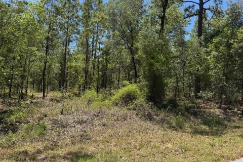 Terrain à vendre à Dunnellon, Floride № 2212556 - photo 5